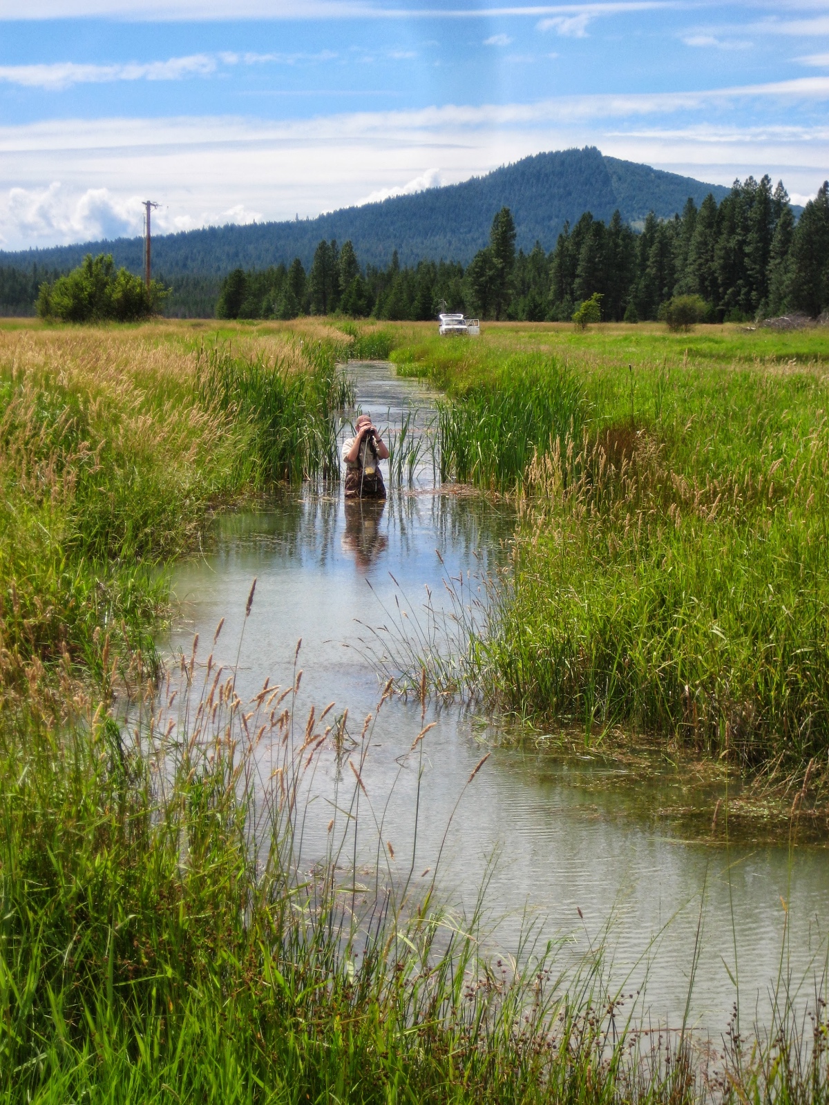 Tidwell and Hayes  07 Tidwell surveying for frogs